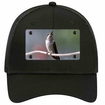 Hummingbird Perched On Branch Novelty Black Mesh License Plate Hat - £21.67 GBP