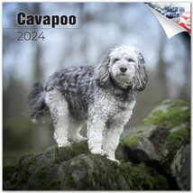 CAVAPOO Wall Calendar 2024 Animal DOG PET Lover Gift - £19.45 GBP