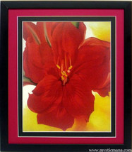 Red Flower Georgia O&#39;keeffe Flower Art Framed Poster - £51.95 GBP