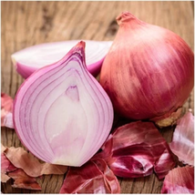 Onion Seeds - Red Burgundy - Vegetable Seeds - Outdoor Living - Free Shippng - £23.53 GBP