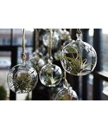 Set of 6 Glass Orb Plants Terrariums Hanging Tea Light Holders for Weddi... - $12.90+