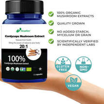 Cordyceps Mushroom Extract Powder,Cordyceps Sinensis CS-4,Dong Chong Xia... - $22.00