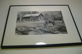 ART PHOTOGRAPHY Donkey wit shed &amp; trees &quot;Pete&quot; B&amp;W L. Santucci Frames 13x17in - $42.49