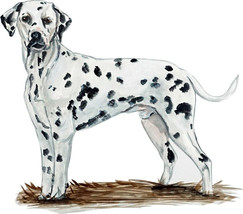 Dalmatian Dog Almost Alive Vinyl Decal Sticker - Auto Car Truck RV Cell Cup Boat - £5.54 GBP+