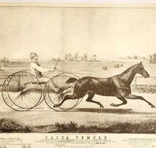 1952 Flora Temple Horse Racing Plate Lithograph Print Currier &amp; Ives DWLL16 - £24.16 GBP