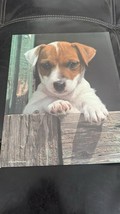 Mead Purrs &amp; Grrrs Dog Jack Russell Terrier 3 Punch Folder - €3,97 EUR