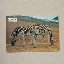 Postcard - Metro Toronto Zoo DAMARALAND ZEBRA 1993 - $5.77