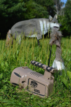 Item image 7