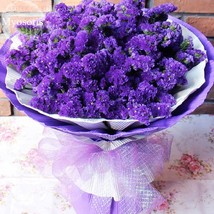 Blue Sea Lavender Limonium Sinuatum 30 Seeds Forget Me Not Cut Flowers E3753 Gar - $11.95