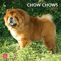 (12x12) Chow Chows - 2013 Wall Calendar - £4.78 GBP