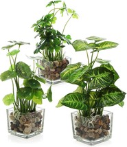 Three Artificial Plants In Clear Glass Pots From Mygift, For Faux Tabletop - $40.93