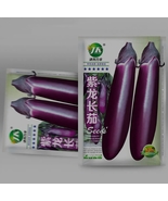 400 Seeds, Spring-Summer Eggplant Seeds Purple-Red Variety ZZ-1752 - £12.24 GBP