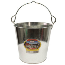 Little Giant Galvanized Dairy Pail 8 Quart - Heavy Duty Farm Grade Construction - £18.34 GBP