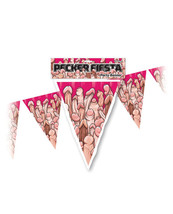 Pecker Fiesta Party Banner - 20ft - £4.64 GBP