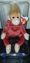 Rare Ty Beanie Baby Schweetheart (RETIRED) with &quot;Errors&quot; - $6,500.00