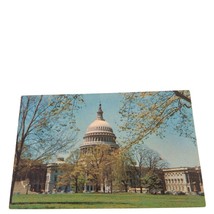 Postcard United States Capitol Trees Washington DC Chrome Posted - $6.71 CAD