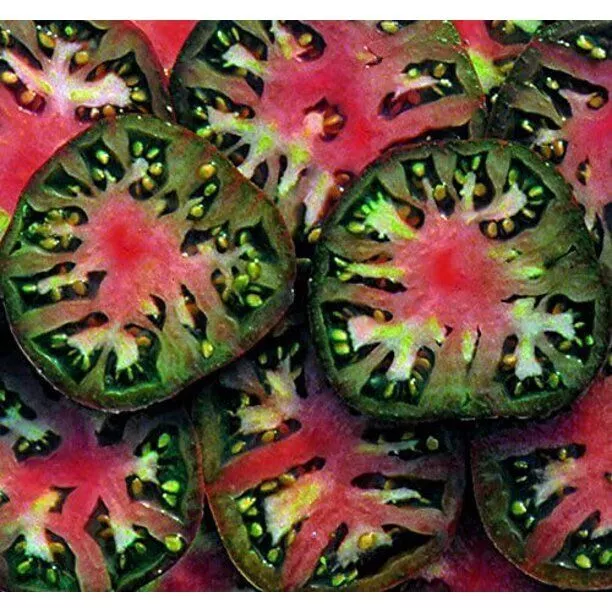 50 Seeds Black Sea Man Tomato Heirloom Tomatoes Juicy Garden - £4.48 GBP