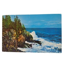Postcard Otter Cliff Bar Harbor Maine Chrome Posted - £5.41 GBP