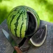 BEST 15 Seeds Easy To Grow Juicy Black Watermelon Large Summer Time Fruit - $10.00