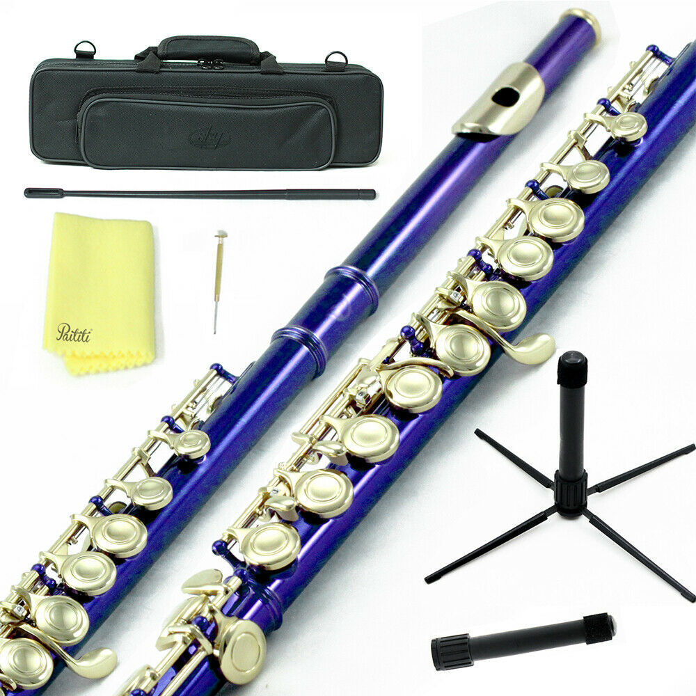 Primary image for Sky Blue Gold C Close Hole Flute w Case, Stand, Cleaning Rod, Cloth and More