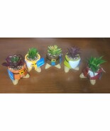 DISNEY THE SEVEN DWARFS SUCCULENT MINI PLANTERS  SET -  5 of 8. Snow Whi... - €33,35 EUR DISNEY THE SEVEN DWARFS SUCCULENT MINI PLANTERS  SET -  5 of 8. Snow Whi... - €33,35 EUR