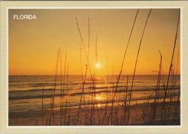 ZAYIX Postcard Beautiful Florida Sunrise Coast Beach 102022-PC01 - £3.98 GBP