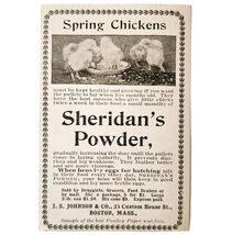 Sheridan Egg Condition Powder Hens 1897 Advertisement Victorian Farm ADB... - $185.61 MXN