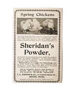 Sheridan Egg Condition Powder Hens 1897 Advertisement Victorian Farm ADB... - $183.44 MXN