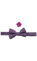 Nick Graham Everywhere Mens Stripe Bow Tie With Solid Pocket Square and Floral - £6.92 GBP