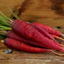 Red dragon carrot seeds 200+ seeds + Free Shipping - $3.54
