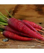 Red dragon carrot seeds 200+ seeds + Free Shipping - $4.84 CAD