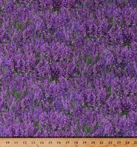 Cotton lavender Flowers Floral Landscape Purple Fabric Print by the Yard D682.60 - £9.55 GBP