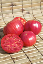 New Fresh 50 Seeds Brandymaster Pink Tomato Juicy Tomatoe Vegetable Garden - $7.00