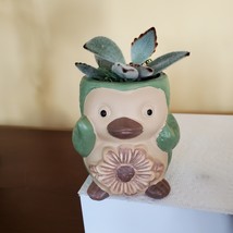 Green Penguin Pot &amp; Succulent, Panda Plant, Kalanchoe Tomentosa, Animal ... - $16.99