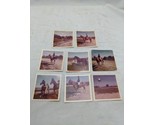 Set Of (8) Vintage October 1973 Horse Traning Riding Photos - $31.67