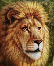 Handmade Oil Painting Wide Lion Painting Unmounted Canvas 20x24 inches - £237.02 GBP