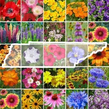 LWSTORE Wildflower Tennessee State Mix Perennials &amp;Annuals 24 Flowers Non Gmo 10 - £7.08 GBP