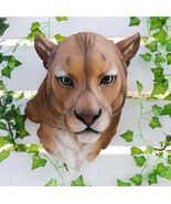 Sarabi Large Lioness Head Wall Decor Plaque 16&quot;Tall Taxidermy Art Decor ... - €69,15 EUR