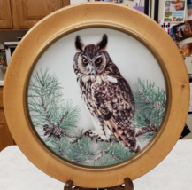 Haviland Limoges France Collector Plate Long-Eared Owl Crafted For FP - £36.76 GBP