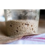 THE ORIGINAL SAN FRANCISCO SOURDOUGH STARTER  &quot;sally&quot; + many recipes @ f... - $116.66 MXN