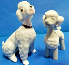 LLADRO NAO Miniature &amp; Sitting/Unbranded Poodle Dog Figurine White 1a - £58.95 GBP