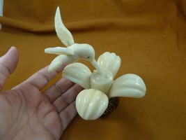 TNE-BIR-HU-12b) white Hummingbird bird flower TAGUA NUT figurine humming... - £57.53 GBP