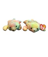 Lot of 2 TY Beanie Babies SAMMY the Bear 8.5&quot; - $282.73 MXN