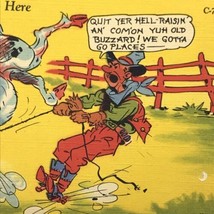 Vintage Postcard Cowboy Horse Roarin’ To Go Here Funny Cartoon Art Humorous - £7.86 GBP