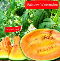 SEED Rainbow Watermelon Seeds - £24.55 GBP