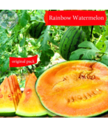 SEED Rainbow Watermelon Seeds - £24.69 GBP