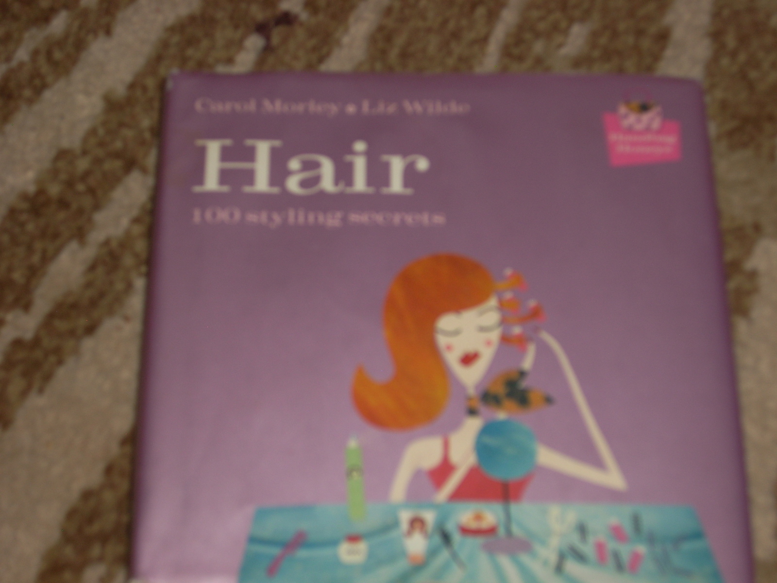 book &quot;HAIR&quot; 100 Styling Secrets.by Morley and Wilde - $3.50