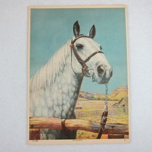 Antique 1900s Print White Arabian Horse His Majesty West Ranch Robert Lindner - £23.71 GBP