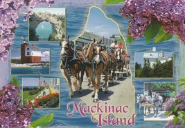 Postcard Mackinac Island Michigan Horses Buildings Beach Unused - £4.65 GBP