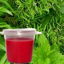 Lemongrass &amp; Wild Mint Scented Soy Wax Candle Melts Shot Pots, Vegan, Hand Poure - £12.78 GBP+